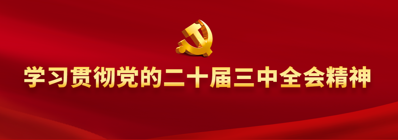 学习贯彻党的二十届三中全会精神