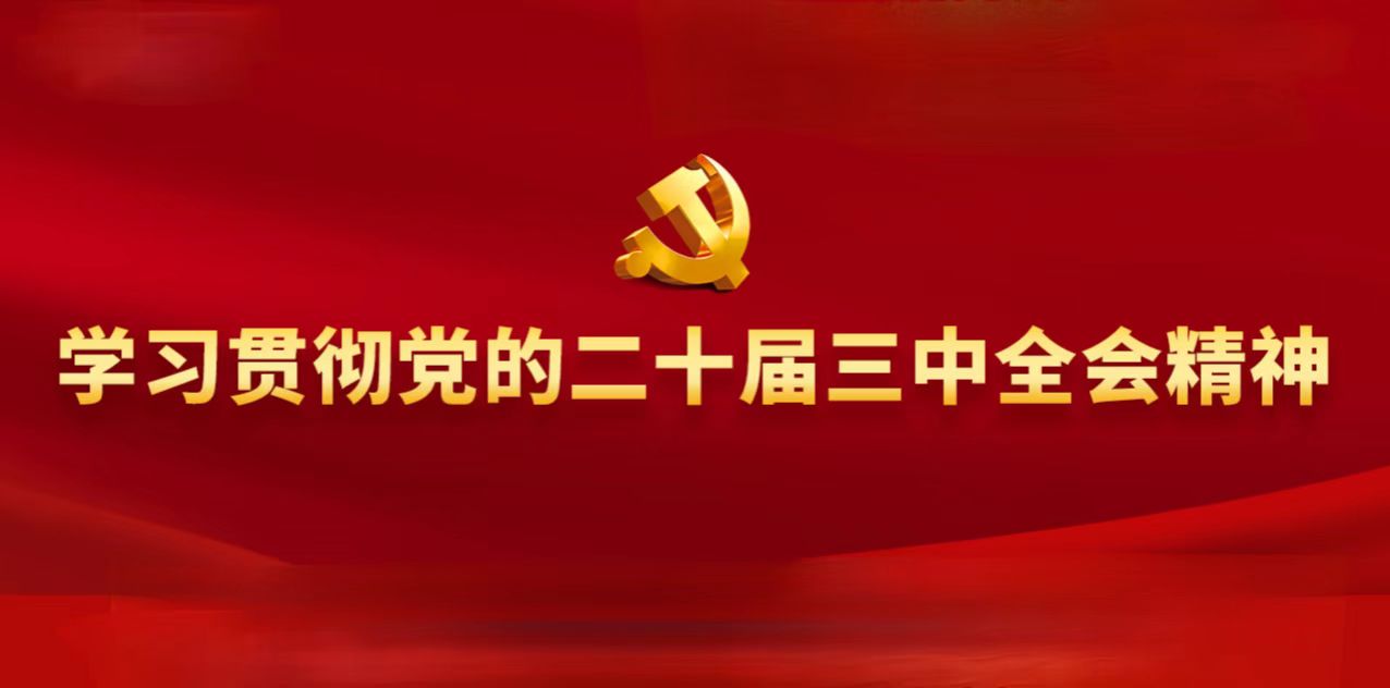 学习贯彻党的二十届三中全会精神